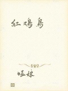 红鸡鸟