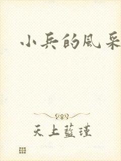 小兵的风采封面