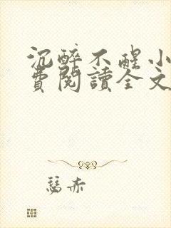 沉醉不醒小说免费阅读全文无弹窗封面