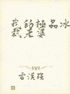 我的极品冰山总裁老婆