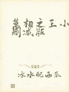 万相之王小说未删减版