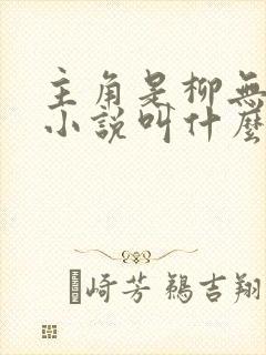 主角是柳无邪的小说叫什么?