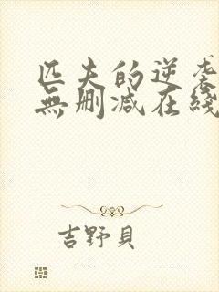 匹夫的逆袭小说无删减在线阅读