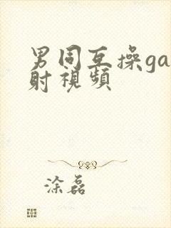 男同互操gay射视频