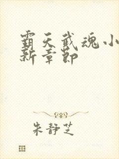 霸天武魂小说最新章节