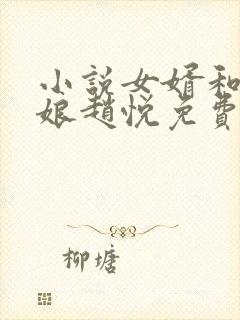 小说女婿和丈母娘赵悦免费阅读