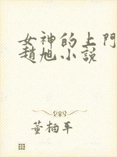 女神的上门豪婿赵旭小说