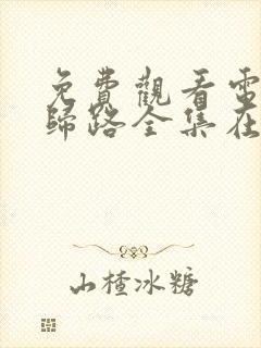 免费观看电视剧归路全集在线播放