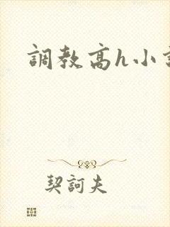 调教高h小说封面