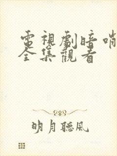 电视剧暗哨免费全集观看