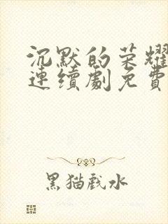 沉默的荣耀电视连续剧免费观看全集