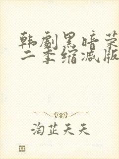 韩剧黑暗荣耀第二季缩减版封面