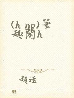 (h np)笔趣阁h