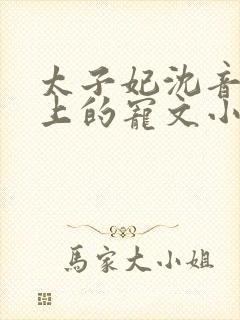 太子妃沈音和皇上的宠文小说封面