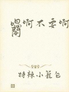 嗯啊不要啊笔趣阁