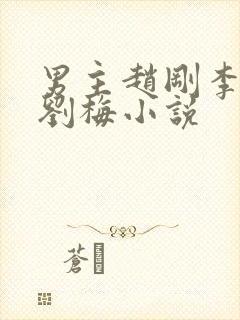 男主赵刚李晓雅刘梅小说封面