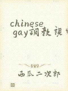 chinese gay调教视频