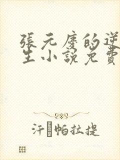 张元庆的逆袭人生小说免费阅读封面