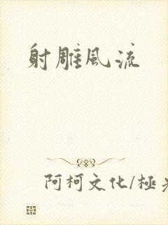 射雕风流封面