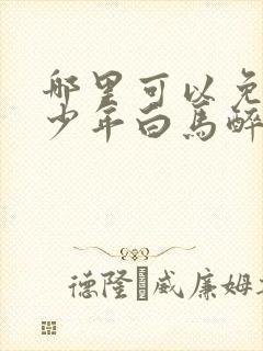 哪里可以免费看少年白马醉春风