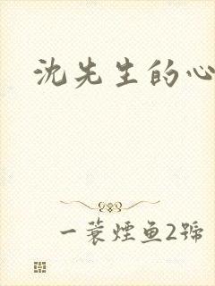 沈先生的心头宝