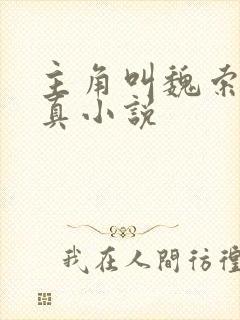 主角叫魏索的修真小说