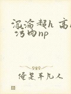沉沦超h 高h 污肉np