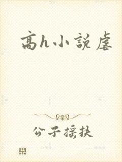 高h小说虐
