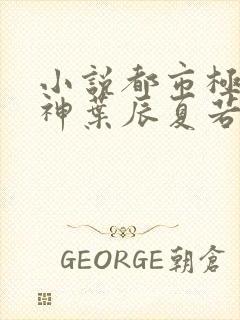 小说都市极品医神叶辰夏若雪孙怡封面