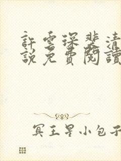 许云琛裴清欢小说免费阅读无弹窗