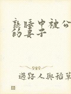 熟睡中被公侵犯的妻子