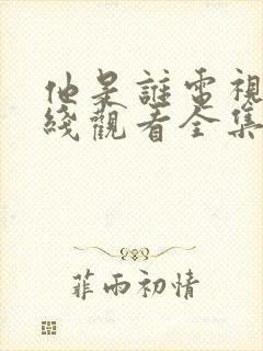 他是谁电视剧在线观看全集免费高清封面