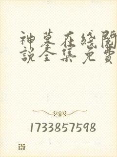 神墓在线阅读小说全集免费