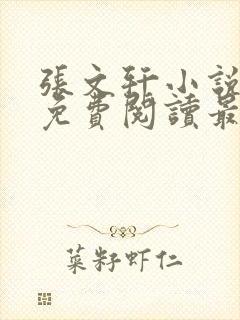 张文轩小说全文免费阅读最新章节