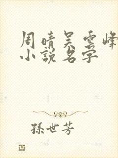 周晴吴云峰李磊小说名字