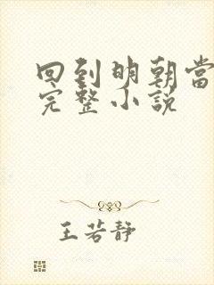 回到明朝当王爷完整小说封面