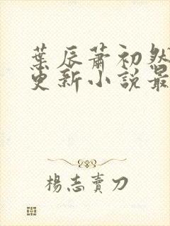 叶辰萧初然最快更新小说最新章节