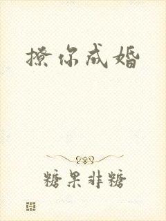 撩你成婚封面