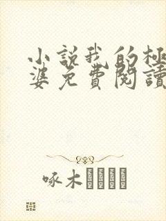 小说我的极品老婆免费阅读全文