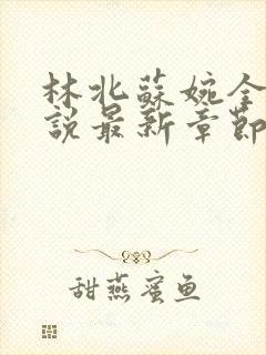 林北苏婉全本小说最新章节