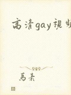 高清gay视频