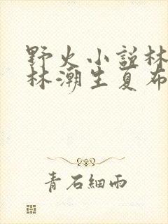 野火小说林晚晚林潮生夏布多昂