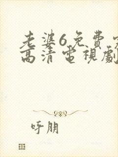 老婆6免费完整高清电视剧在线观看