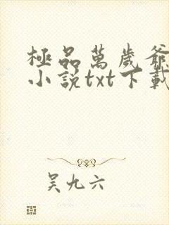 极品万岁爷妖刀小说txt下载