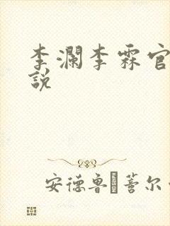 李澜李霖官场小说