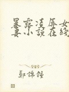 暴露凌辱女友人妻小说在线阅读封面