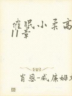 催眠小柔高达第11章封面