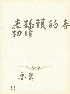 老孙头的春天林初晴