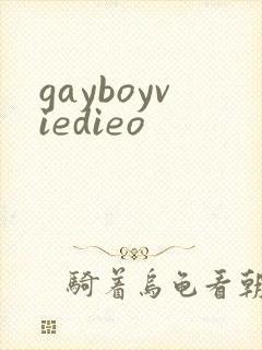 gayboyviedieo