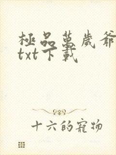 极品万岁爷全本txt下载